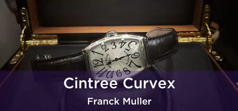  Cintree Curvex Franck Muller