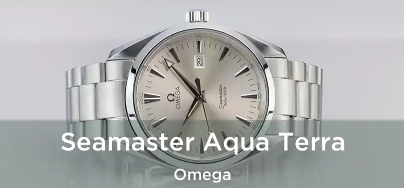  Seamaster Aqua Terra Omega